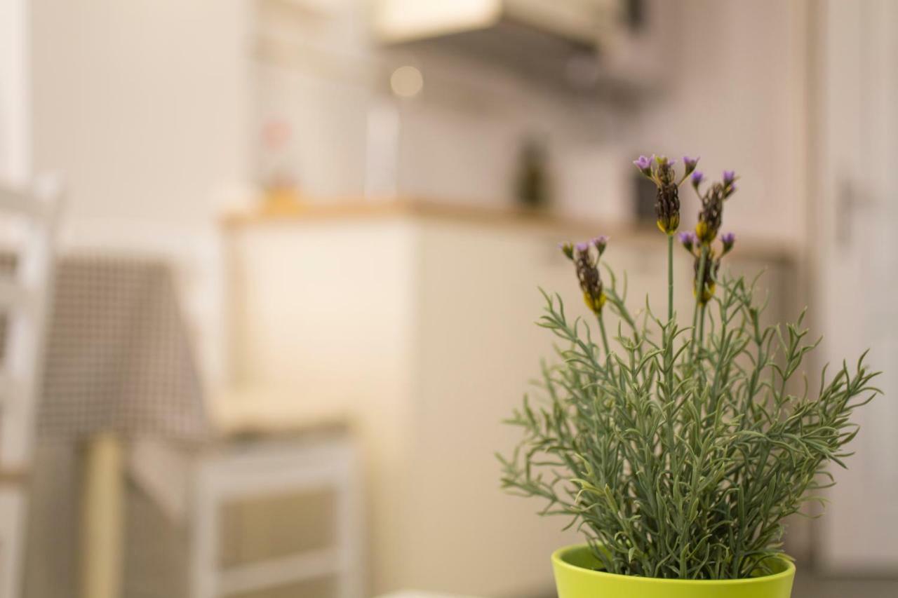 Apartments Casa Vecchia ロヴィニ エクステリア 写真